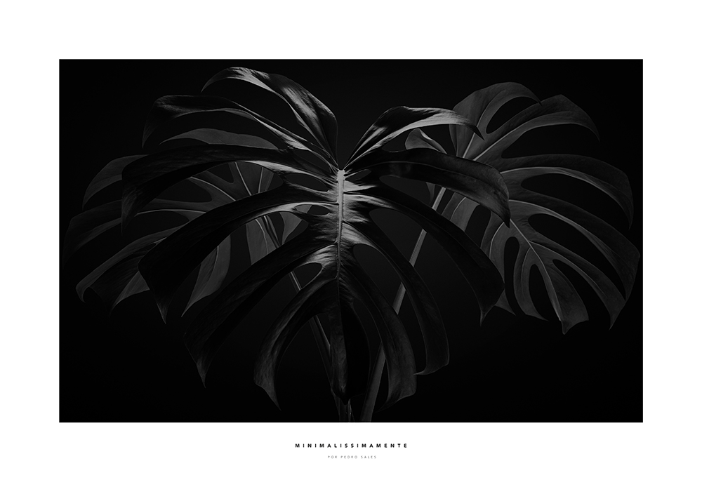 Série Noir - Costela de Adão Horizontal Black and White - Minimalissimamente por Pedro Sales