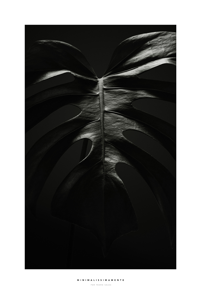 Série Noir - Costela de Adão Black and White - Minimalissimamente por Pedro Sales