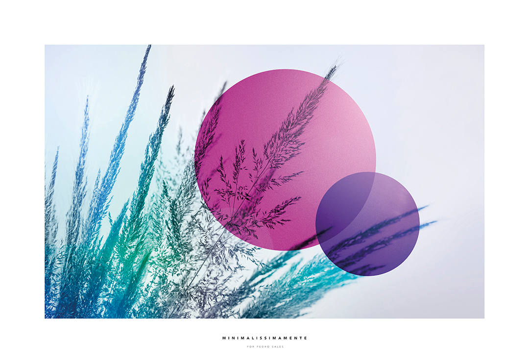 Print Decorativo Minimalissimamente