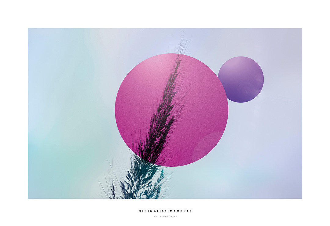 Print Decorativo Minimalissimamente