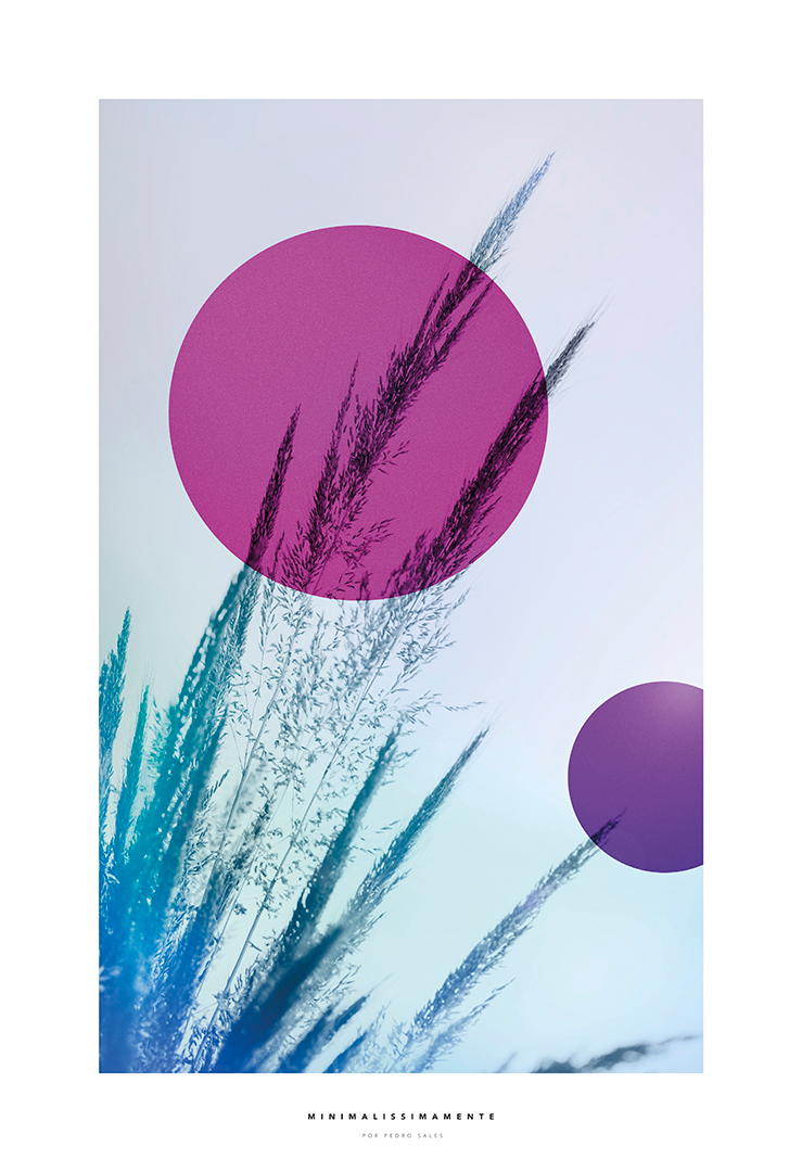 Print Decorativo Minimalissimamente